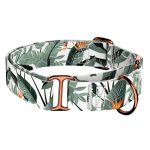 Papagájvirág - Kutya Félfojtó Nyakörv - april & june