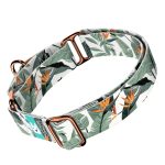 Papagájvirág - Kutya Félfojtó Nyakörv - april & june