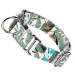 Papagájvirág - Kutya Félfojtó Nyakörv - april & june