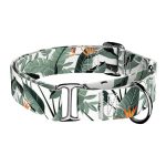 Papagájvirág - Kutya Félfojtó Nyakörv - april & june