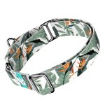 Papagájvirág - Kutya Félfojtó Nyakörv - april & june