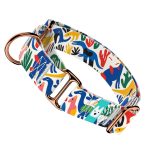 Dinók - Kutya Félfojtó Nyakörv - april & june