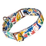 Dinók - Kutya Félfojtó Nyakörv - april & june