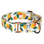 Mangó - Kutya Félfojtó Nyakörv - april & june