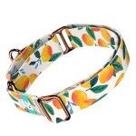 Mangó - Kutya Félfojtó Nyakörv - april & june