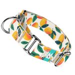 Mangó - Kutya Félfojtó Nyakörv - april & june