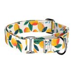 Mangó - Kutya Félfojtó Nyakörv - april & june