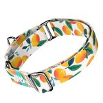 Mangó - Kutya Félfojtó Nyakörv - april & june