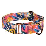 Színes nyári este - Kutya Félfojtó Nyakörv - april & june