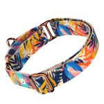 Színes nyári este - Kutya Félfojtó Nyakörv - april & june