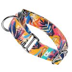 Színes nyári este - Kutya Félfojtó Nyakörv - april & june