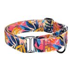 Színes nyári este - Kutya Félfojtó Nyakörv - april & june