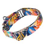 Színes nyári este - Kutya Félfojtó Nyakörv - april & june