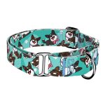 Cardigan Welsh Corgi, kék - Kutya Félfojtó Nyakörv - april & june