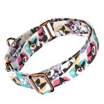 Cardigan Welsh Corgi - Kutya Félfojtó Nyakörv - april & june