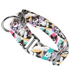 Cardigan Welsh Corgi - Kutya Félfojtó Nyakörv - april & june