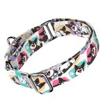 Cardigan Welsh Corgi - Kutya Félfojtó Nyakörv - april & june