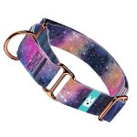 Galaxis - Kutya Félfojtó Nyakörv - april & june