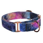 Galaxis - Kutya Félfojtó Nyakörv - april & june