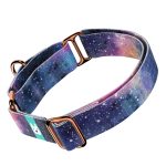 Galaxis - Kutya Félfojtó Nyakörv - april & june