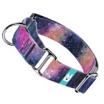 Galaxis - Kutya Félfojtó Nyakörv - april & june