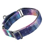 Galaxis - Kutya Félfojtó Nyakörv - april & june