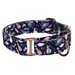 Boszorkány - Kutya Félfojtó Nyakörv - april & june