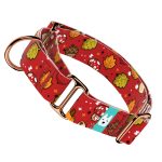 Cuki ősz - Kutya Félfojtó Nyakörv - april & june