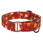 Cuki ősz - Kutya Félfojtó Nyakörv - april & june