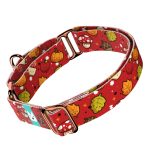 Cuki ősz - Kutya Félfojtó Nyakörv - april & june