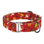 Cuki ősz - Kutya Félfojtó Nyakörv - april & june