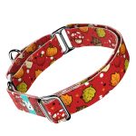 Cuki ősz - Kutya Félfojtó Nyakörv - april & june