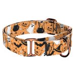 Halloween - Kutya Félfojtó Nyakörv - april & june