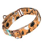 Halloween - Kutya Félfojtó Nyakörv - april & june