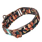 Erdei állatok - Kutya Félfojtó Nyakörv - april & june