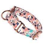 Őszi virágok - Kutya Félfojtó Nyakörv - april & june