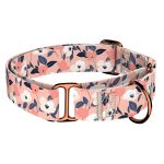 Őszi virágok - Kutya Félfojtó Nyakörv - april & june