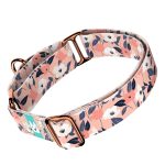 Őszi virágok - Kutya Félfojtó Nyakörv - april & june