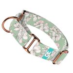 Tavaszi virágzás - Kutya Félfojtó Nyakörv - april & june