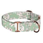 Tavaszi virágzás - Kutya Félfojtó Nyakörv - april & june