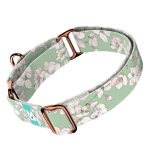 Tavaszi virágzás - Kutya Félfojtó Nyakörv - april & june