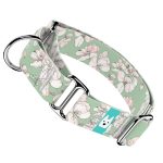 Tavaszi virágzás - Kutya Félfojtó Nyakörv - april & june