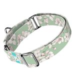 Tavaszi virágzás - Kutya Félfojtó Nyakörv - april & june