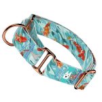 Koi tó - Kutya Félfojtó Nyakörv - april & june