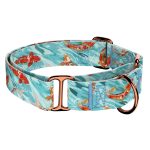 Koi tó - Kutya Félfojtó Nyakörv - april & june