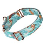 Koi tó - Kutya Félfojtó Nyakörv - april & june