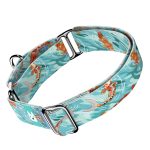 Koi tó - Kutya Félfojtó Nyakörv - april & june