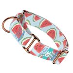 Dinnye - Kutya Félfojtó Nyakörv - april & june