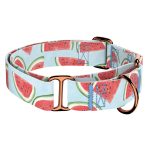 Dinnye - Kutya Félfojtó Nyakörv - april & june