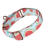 Dinnye - Kutya Félfojtó Nyakörv - april & june